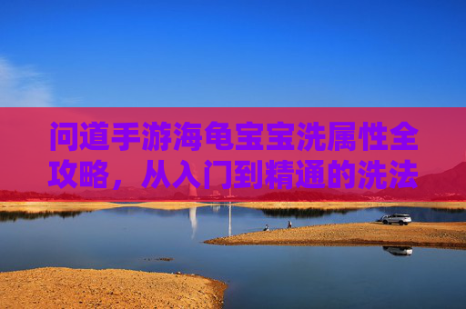 问道手游海龟宝宝洗属性全攻略,从入门到精通的洗法技巧,问道手游海龟宝宝洗属性全攻略,从入门到精通的洗法技巧
