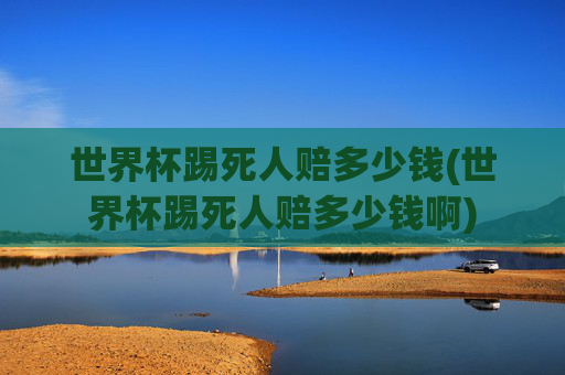 世界杯踢死人赔多少钱(世界杯踢死人赔多少钱啊)