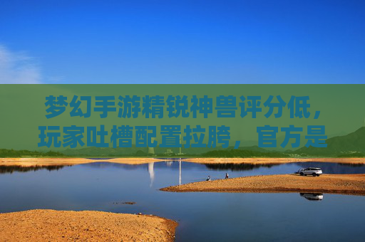 梦幻手游精锐神兽评分低,玩家吐槽配置拉胯,官方是否该重新评估?梦幻手游精锐神兽评分低配置拉胯,官方是否该重新评估?