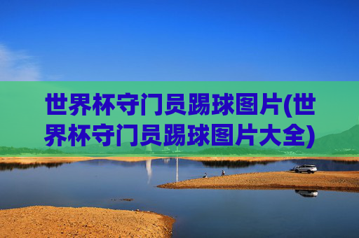 世界杯守门员踢球图片(世界杯守门员踢球图片大全)