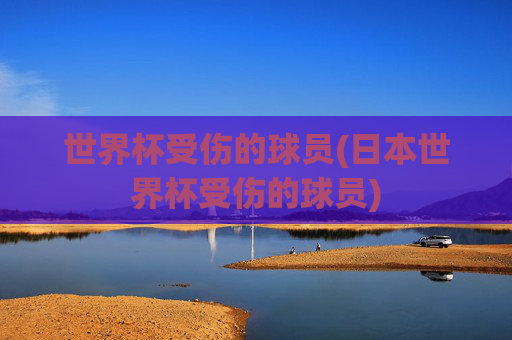 世界杯受伤的球员(日本世界杯受伤的球员)
