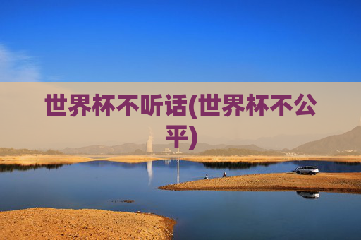 世界杯不听话(世界杯不公平)