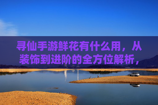 寻仙手游鲜花有什么用,从装饰到进阶的全方位解析,寻仙手游鲜花作用解析,从装饰到进阶的全方位应用指南