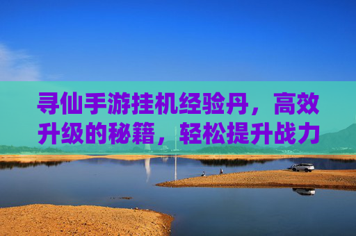 寻仙手游挂机经验丹,高效升级的秘籍,轻松提升战力