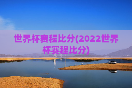世界杯赛程比分(2022世界杯赛程比分)