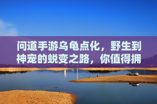 问道手游乌龟点化,野生到神宠的蜕变之路,你值得拥有
