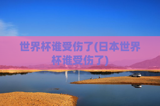 世界杯谁受伤了(日本世界杯谁受伤了)