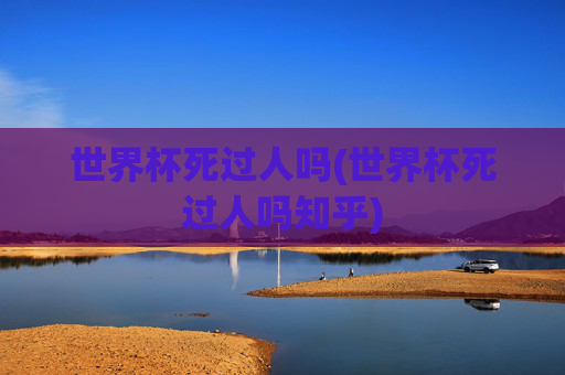 世界杯死过人吗(世界杯死过人吗知乎)