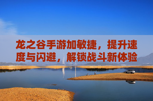 龙之谷手游加敏捷,提升速度与闪避,解锁战斗新体验