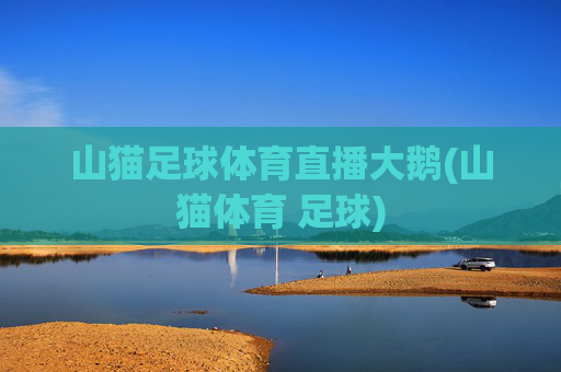 山猫足球体育直播大鹅(山猫体育 足球)