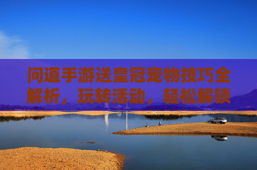 问道手游送皇冠宠物技巧全解析，玩转活动，轻松解锁顶级神宠