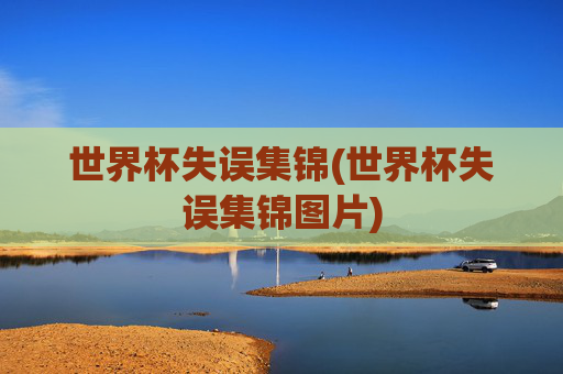 世界杯失误集锦(世界杯失误集锦图片)