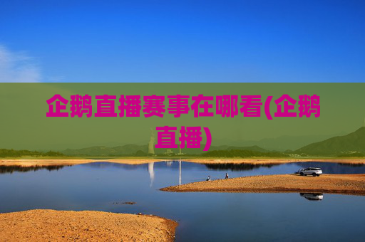 企鹅直播赛事在哪看(企鹅直播)