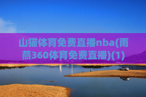 山猫体育免费直播nba(雨燕360体育免费直播)(1)