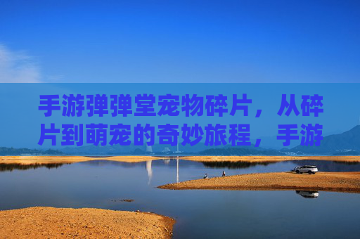 手游弹弹堂宠物碎片,从碎片到萌宠的奇妙旅程,手游弹弹堂宠物碎片,从碎片到萌宠的奇妙旅程