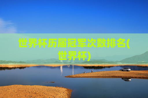 世界杯历届冠军次数排名(世界杯)