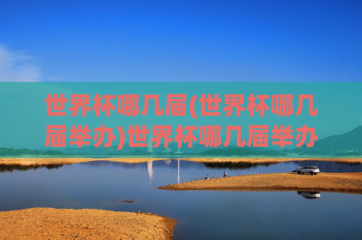 世界杯哪几届(世界杯哪几届举办)世界杯哪几届举办？