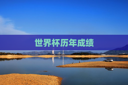 世界杯历年成绩