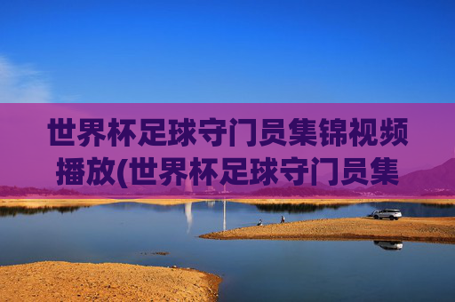 世界杯足球守门员集锦视频播放(世界杯足球守门员集锦视频播放下载)