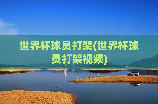 世界杯球员打架(世界杯球员打架视频)
