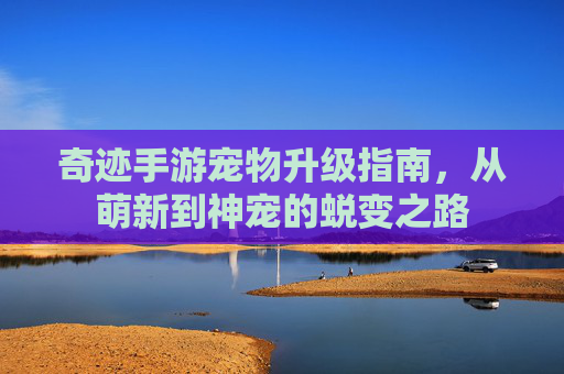 奇迹手游宠物升级指南,从萌新到神宠的蜕变之路
