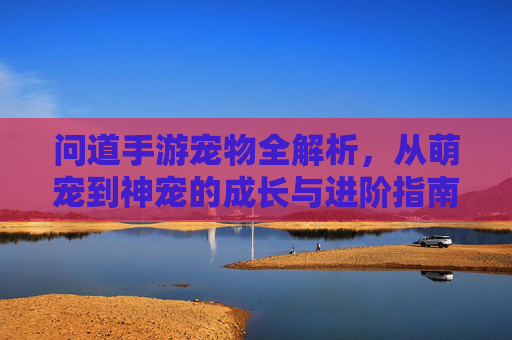 问道手游宠物全解析,从萌宠到神宠的成长与进阶指南