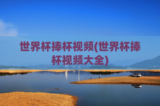 世界杯捧杯视频(世界杯捧杯视频大全)