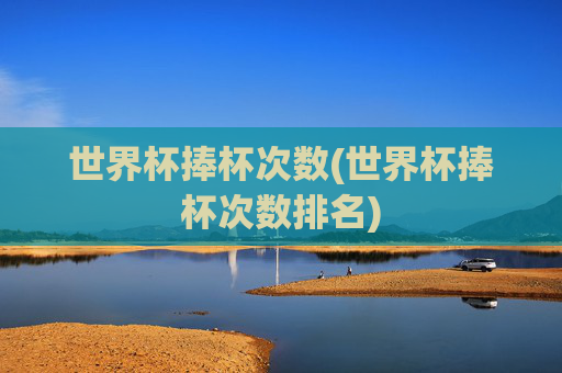 世界杯捧杯次数(世界杯捧杯次数排名)