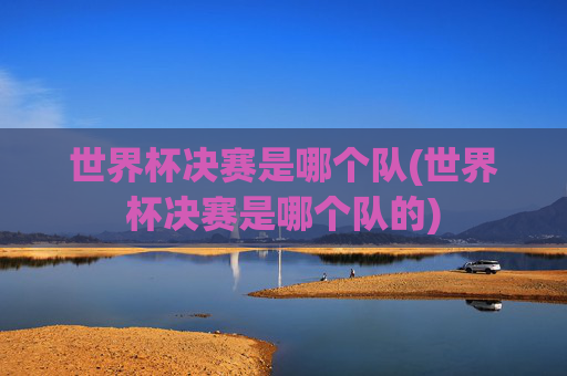 世界杯决赛是哪个队(世界杯决赛是哪个队的)