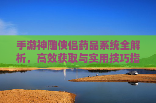 手游神雕侠侣药品系统全解析,高效获取与实用技巧指南,手游神雕侠侣药品系统全解析,高效获取与实用技巧指南