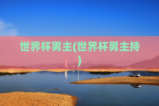世界杯男主(世界杯男主持)