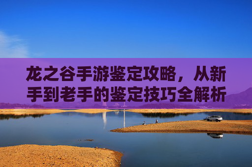 龙之谷手游鉴定攻略，从新手到老手的鉴定技巧全解析