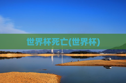世界杯死亡(世界杯)