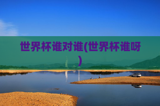 世界杯谁对谁(世界杯谁呀)