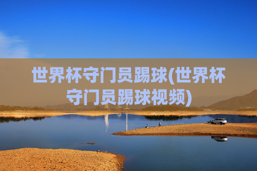 世界杯守门员踢球(世界杯守门员踢球视频)