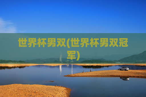 世界杯男双(世界杯男双冠军)