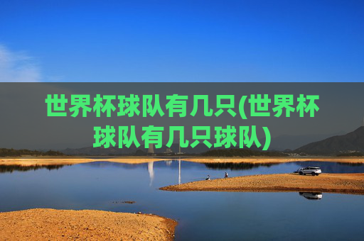 世界杯球队有几只(世界杯球队有几只球队)