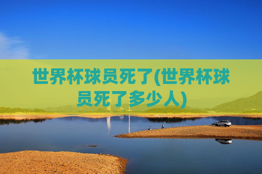 世界杯球员死了(世界杯球员死了多少人)