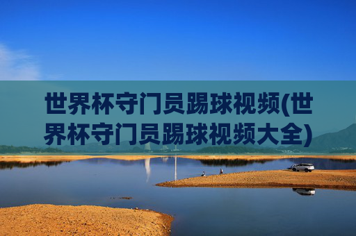 世界杯守门员踢球视频(世界杯守门员踢球视频大全)