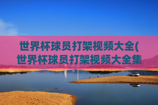世界杯球员打架视频大全(世界杯球员打架视频大全集)