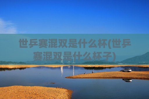 世乒赛混双是什么杯(世乒赛混双是什么杯子)