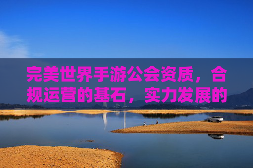 完美世界手游公会资质,合规运营的基石,实力发展的阶梯,完美世界手游公会资质,合规运营的基石,实力发展的阶梯
