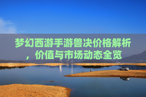 梦幻西游手游兽决价格解析，价值与市场动态全览