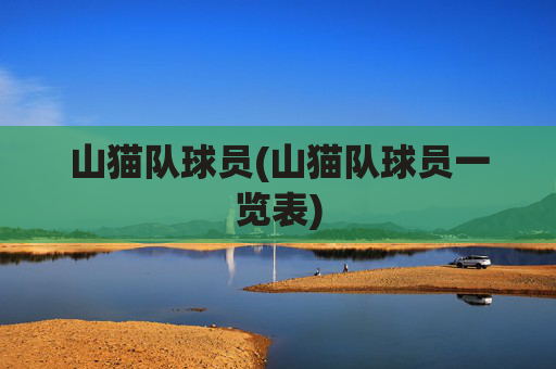 山猫队球员(山猫队球员一览表)