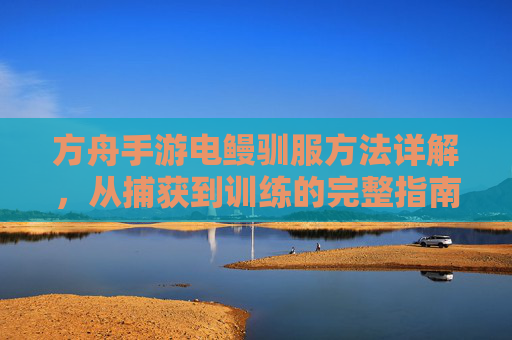 方舟手游电鳗驯服方法详解,从捕获到训练的完整指南,方舟手游电鳗驯服方法详解,从捕获到训练的完整指南