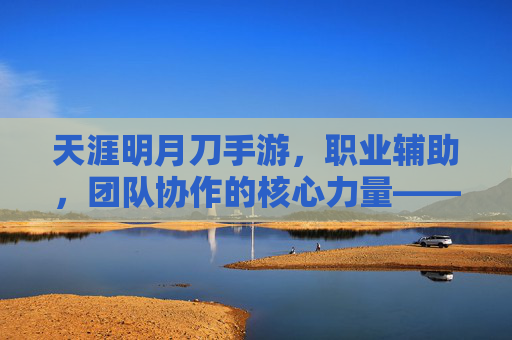 天涯明月刀手游,职业辅助,团队协作的核心力量——解析职业辅助的深度与魅力