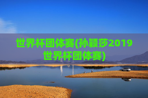 世界杯团体赛(孙颖莎2019世界杯团体赛)