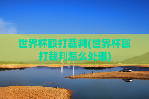 世界杯殴打裁判(世界杯殴打裁判怎么处理)