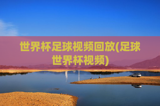 世界杯足球视频回放(足球世界杯视频)