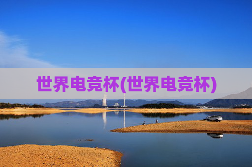 世界电竞杯(世界电竞杯)